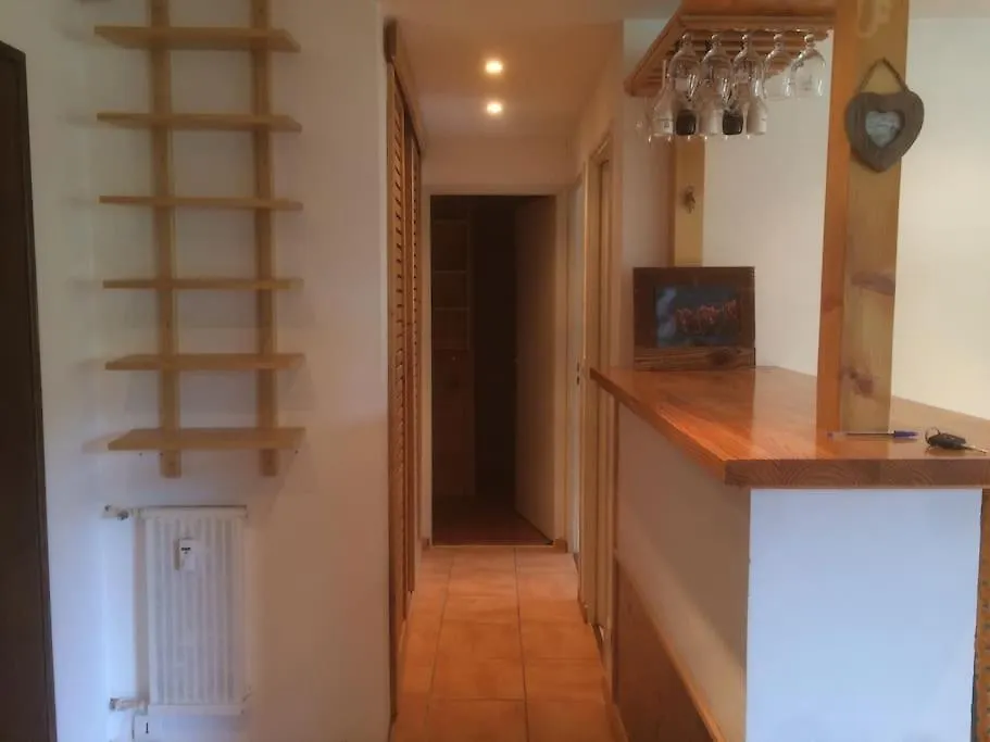 Apartment Appartement 50M2 Proche Du Centre Praz Sur Arly France